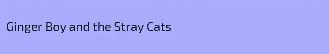 Ginger Boy and the Stray Cats